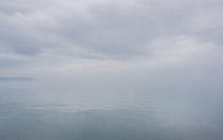 Serene fog over calm waters