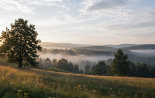 Foggy morning over rolling hills